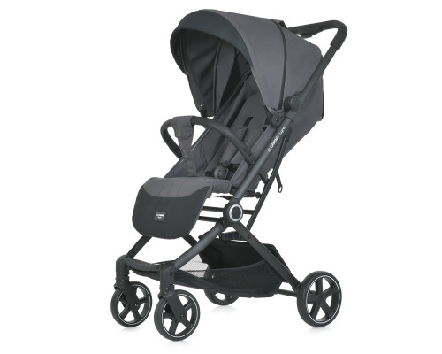 Дитяча прогулянкова коляска-книжка ME 1099 LYRA Grey сіра