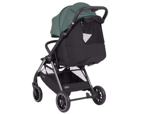 Прогулянкова коляска-книжка CARRELLO Delta CRL-5517 Jungle Green 2024