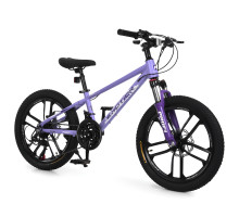 Дитячий велосипед Profi Emotion ET-2002, колеса гумові 20", алюмінієва рама, бузковий