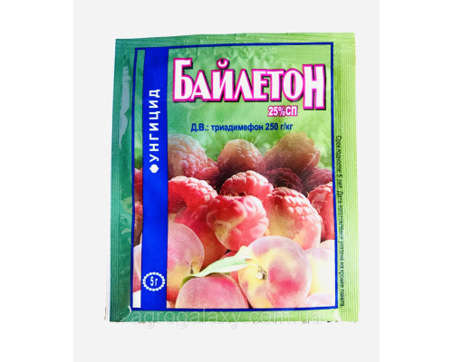 Байлетон 5 г.