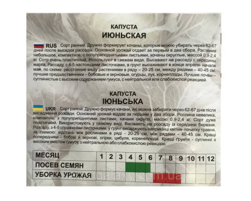 Семена капусты Июньская 5 г
