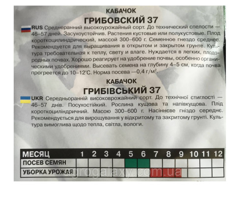 Семена кабачка Грибовский 20 г