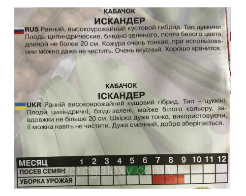 Семена кабачков Искандер 20 г