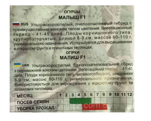 Семена огурца Малыш F1 5 г