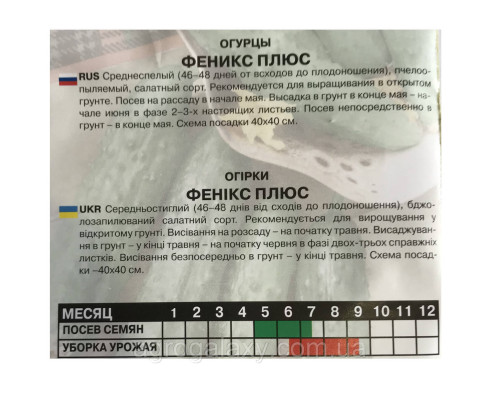 Семена огурца Феникс плюс 5 г
