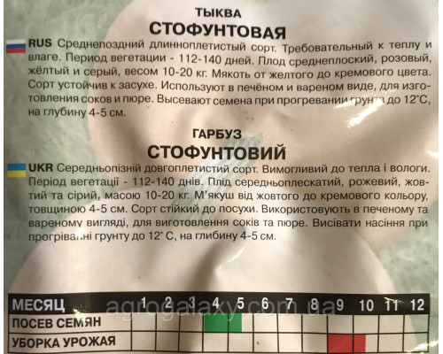 Семена тыквы Стофунтовая 20 г