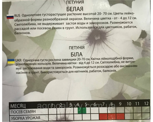 Семена петунии Белая 1 г