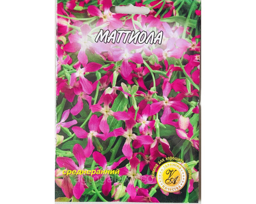 Маттиола