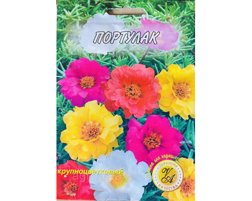 Портулак 5 г.