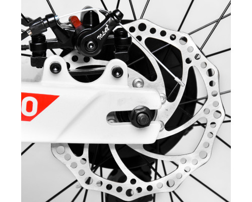 Дитячий спортивний велосипед 20 '' CORSO «T-REX» 64899 магнієва рама, обладнання MicroShift